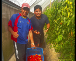 The Greenhouse Project at the Seminary 2025 (The seminarians Felix and Nicolas)