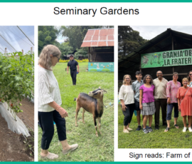 8/2025 MFM Seminary Gardens